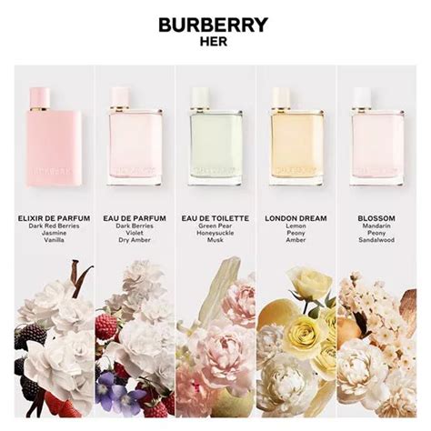 burberry her perfume ingredients|burberry her perfume 1 oz.